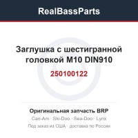 250100122 Заглушка с шестигранной головкой M10 DIN910