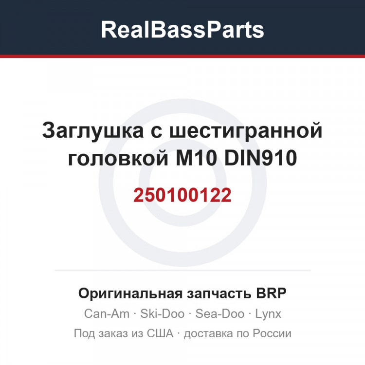 250100122 Заглушка с шестигранной головкой M10 DIN910