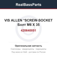 420640051 VIS ALLEN      *SCREW-SOCKET  Болт M6 X 35