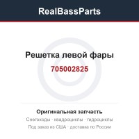 705002825 Решетка левой фары