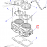 3023972 Цилиндр 9R Polaris