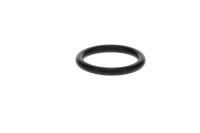 420631310 JOINT TORIQUE  *O-RING