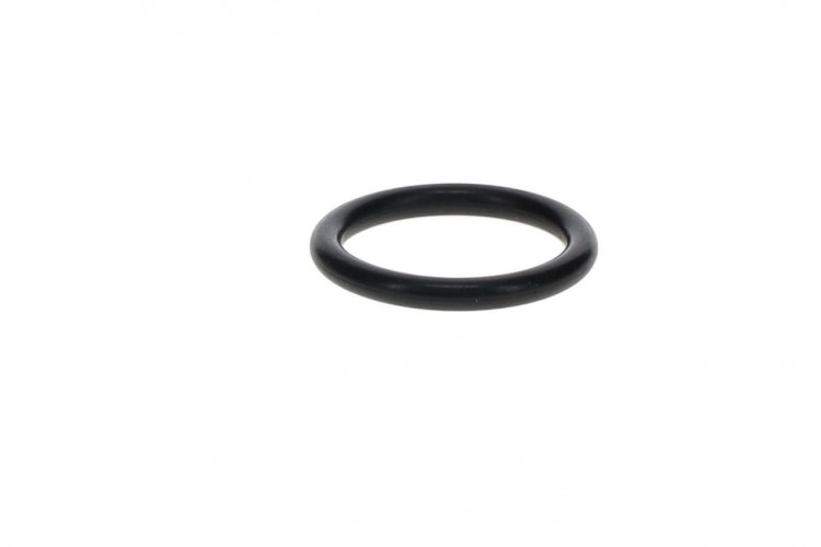 420631310 JOINT TORIQUE  *O-RING