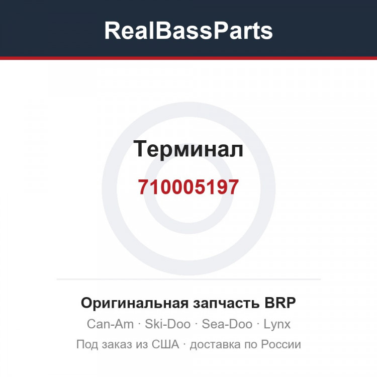 710005197 Терминал