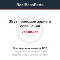 710005932 Жгут проводов заднего освещения