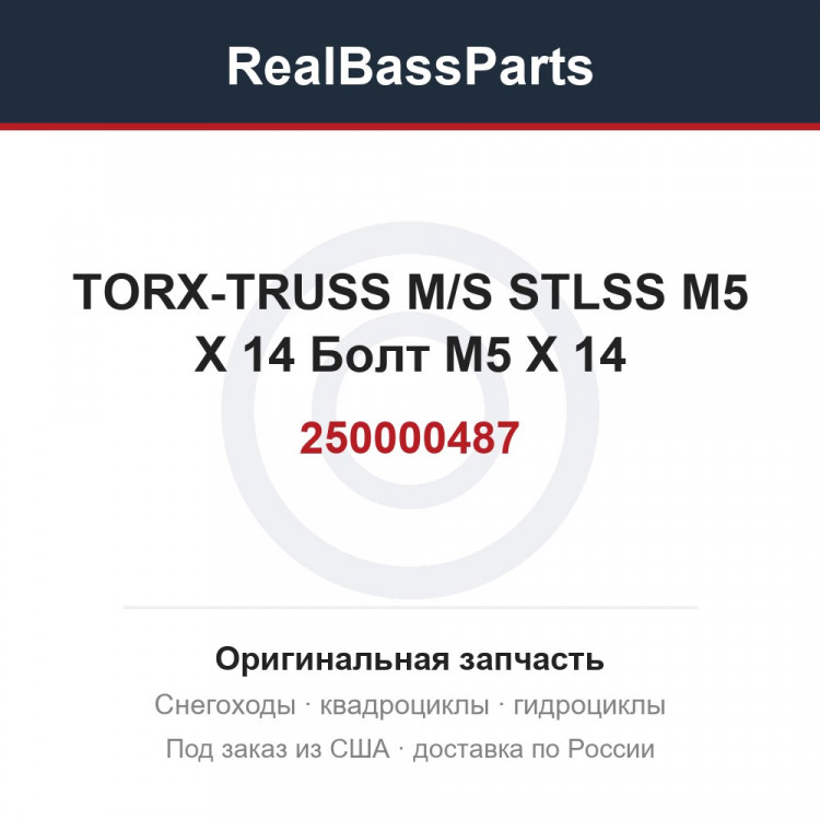 250000487 TORX-TRUSS M/S STLSS M5 X 14 Болт M5 X 14