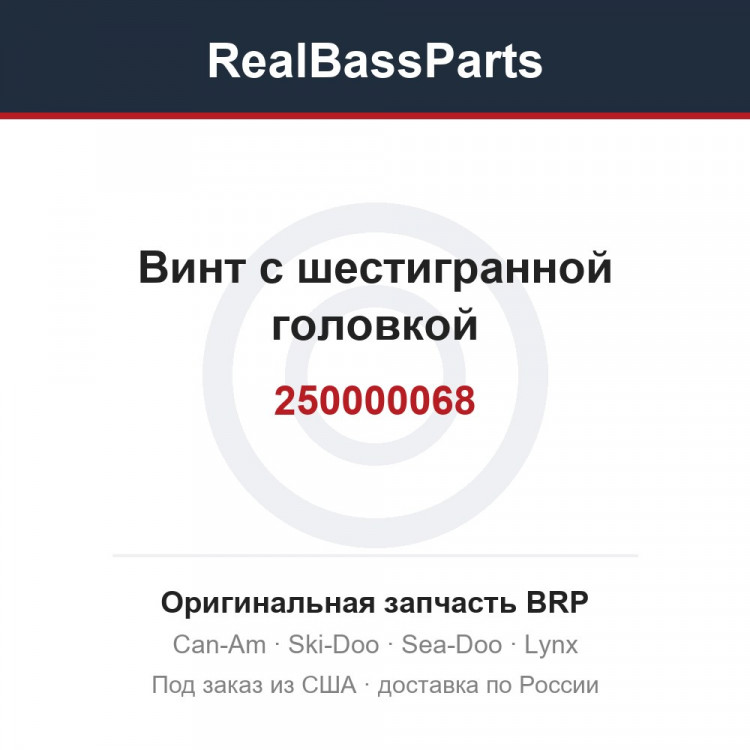 250000068 Винт с шестигранной головкой