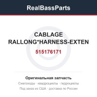 515176171 CABLAGE RALLONG*HARNESS-EXTEN