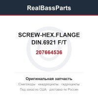 207664536 SCREW-HEX.FLANGE DIN.6921 F/T