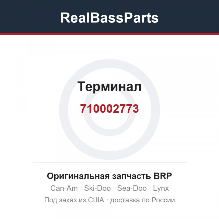 710002773 Терминал