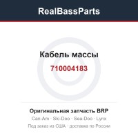710004183 Кабель массы