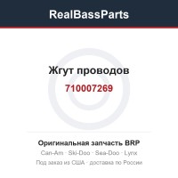 710007269 Жгут проводов