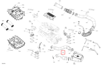 Oultet шланг Sea-Doo RXT-X 300 (2023) (273000419)
