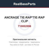 710002896 ANCRAGE TIE-RAP*TIE-RAP CLIP