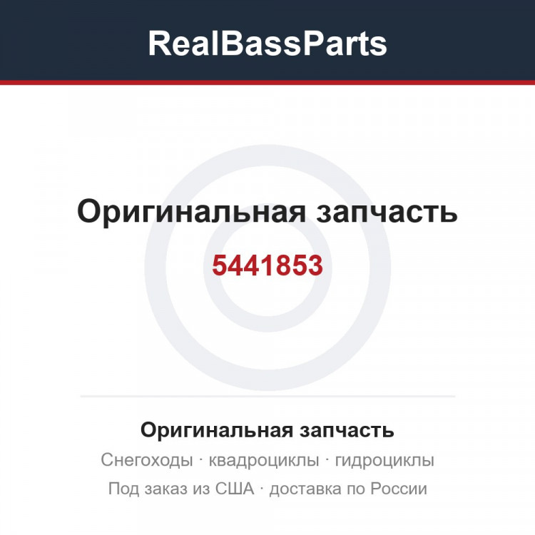 5441853