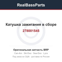 278001545 Катушка зажигания в сборе