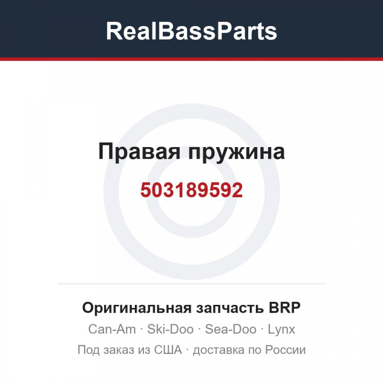 503189592 Правая пружина