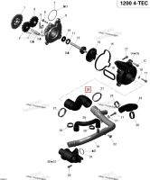 Литой шланг Ski-Doo GTX LE 1200 4-TEC (2009) (420460460)