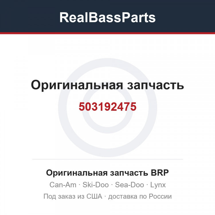 503192475