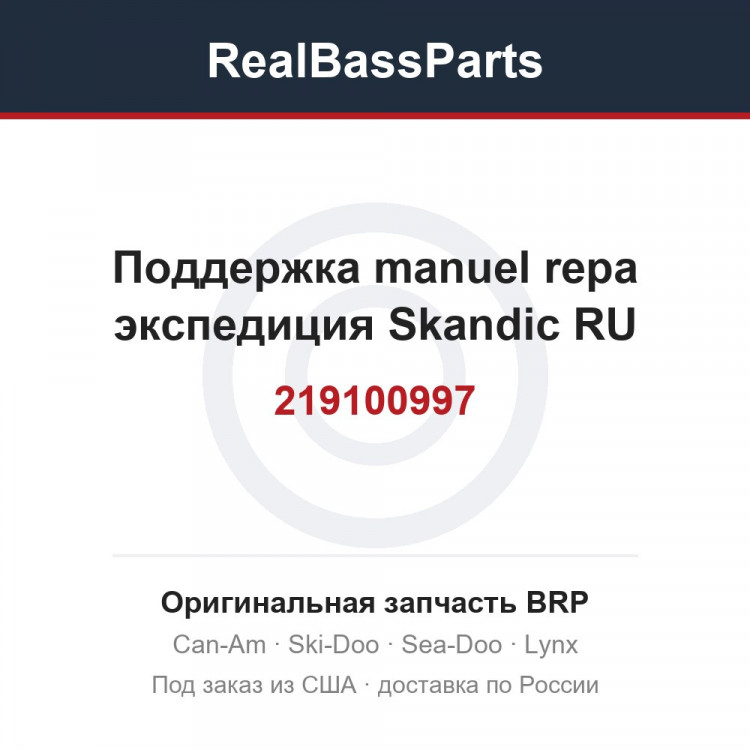 219100997 Поддержка manuel repa экспедиция Skandic RU