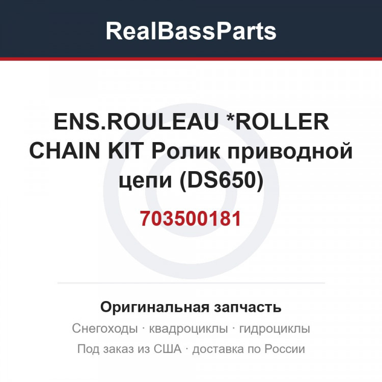 703500181 ENS.ROULEAU   *ROLLER CHAIN KIT  Ролик приводной цепи (DS650)