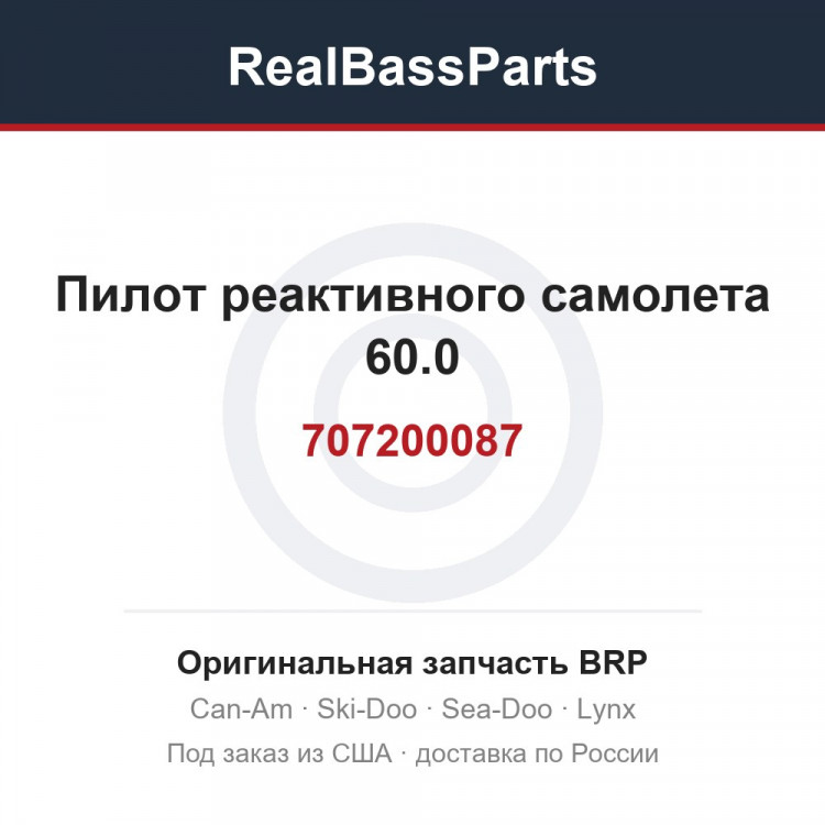 707200087 Пилот реактивного самолета 60.0
