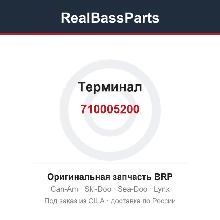 710005200 Терминал