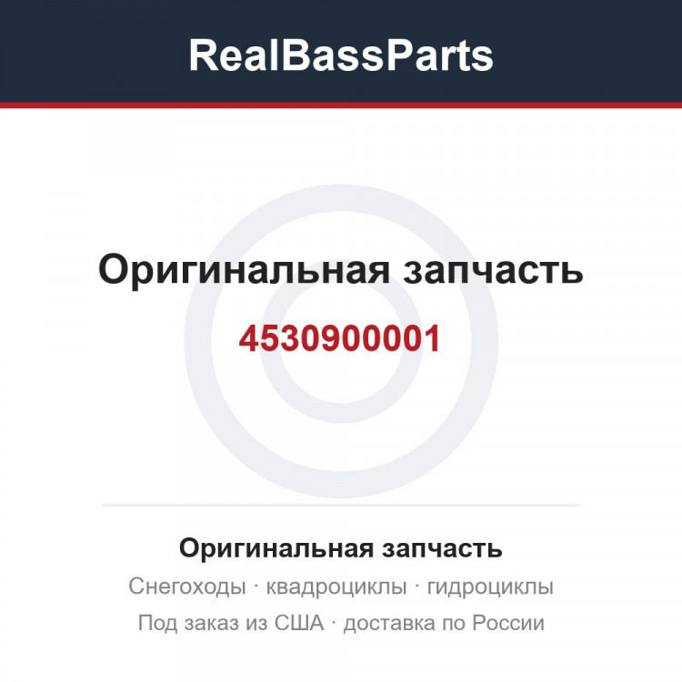 4530900001