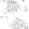 420250455 BRP OIL SEAL | сальник