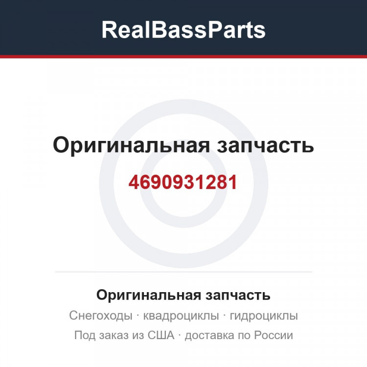 4690931281