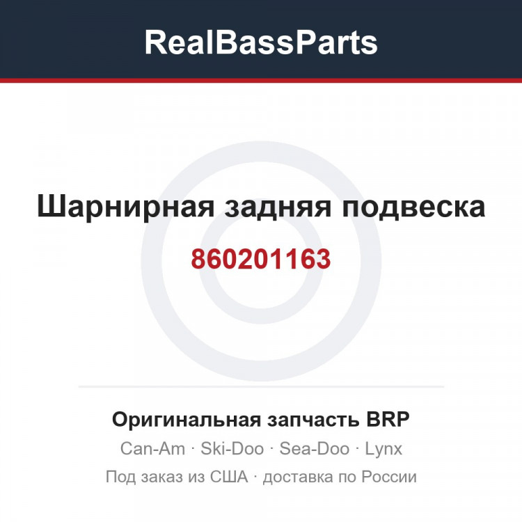 860201163 Шарнирная задняя подвеска