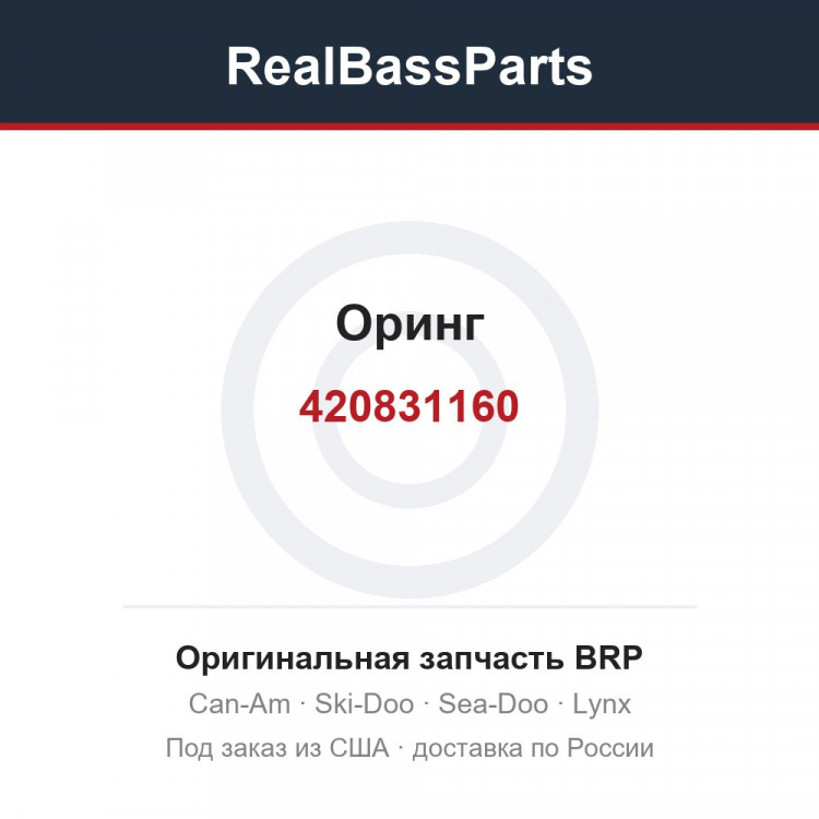 420831160 Оринг