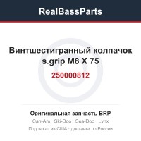 250000812 Винтшестигранный колпачок s.grip M8 X 75