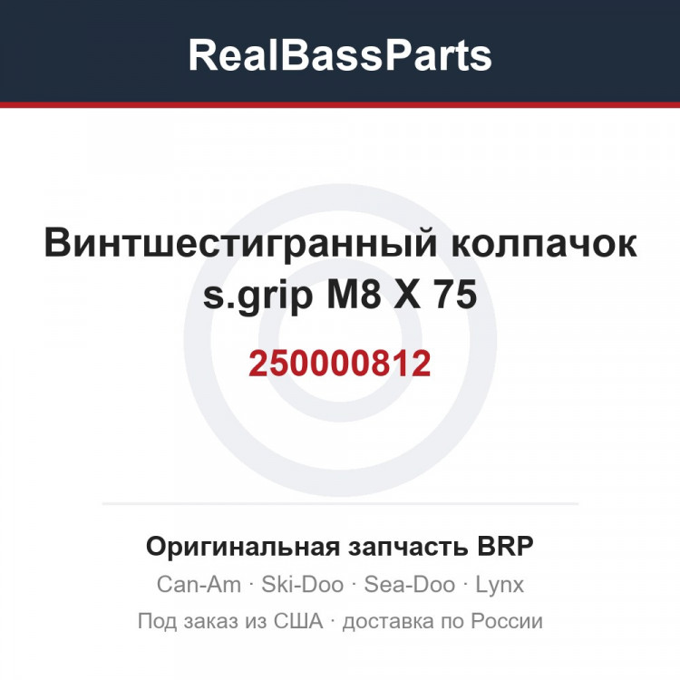 250000812 Винтшестигранный колпачок s.grip M8 X 75