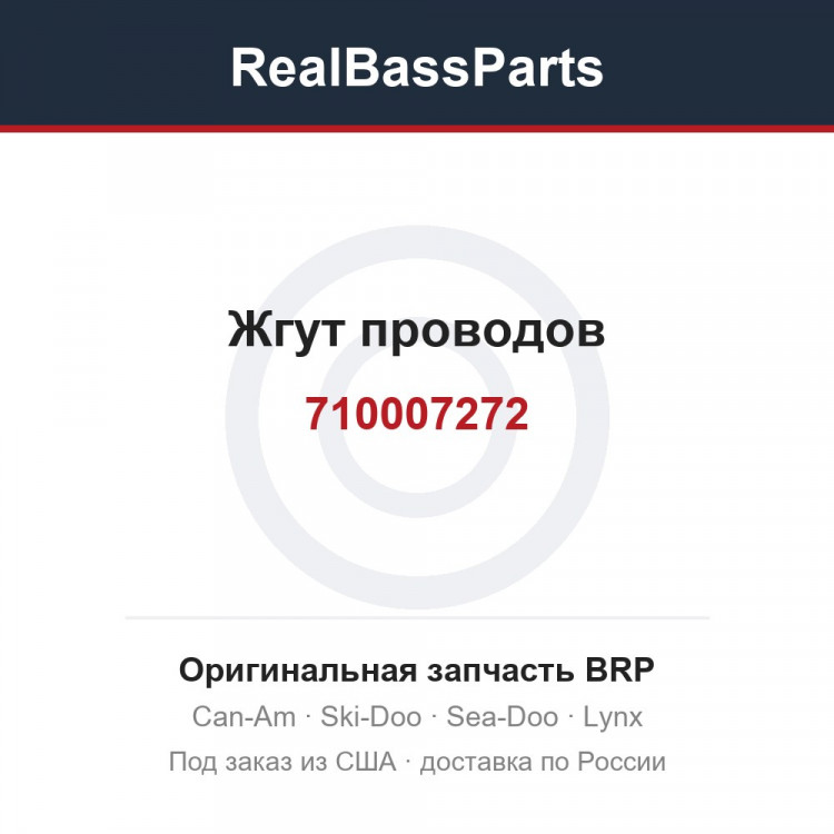 710007272 Жгут проводов