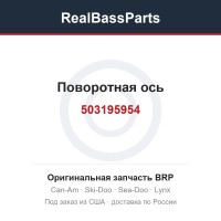 503195954 Поворотная ось