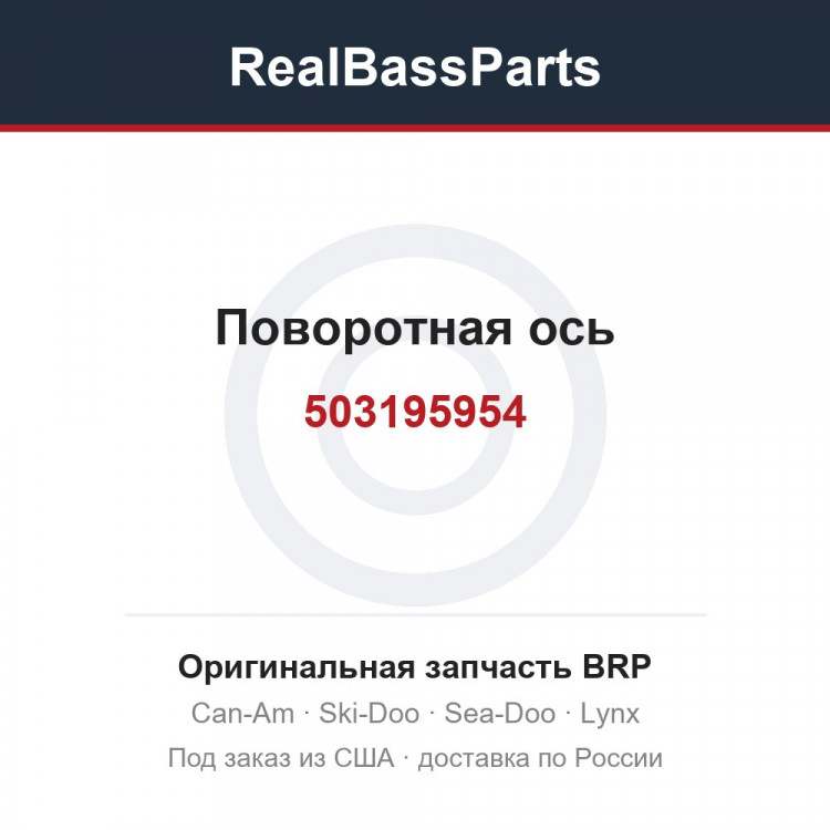 503195954 Поворотная ось
