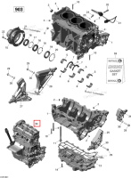 Длинный блок 903 Sea-Doo Spark (2016) (420090331)