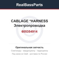 605354914 CABLAGE        *HARNESS  Электропроводка