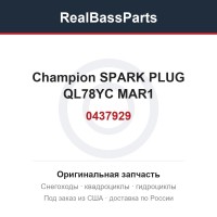 0437929 Champion SPARK PLUG QL78YC MAR1