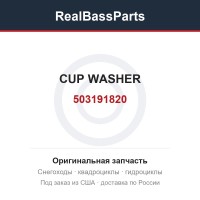503191820 CUP WASHER