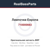710000663 Лампочка Европа