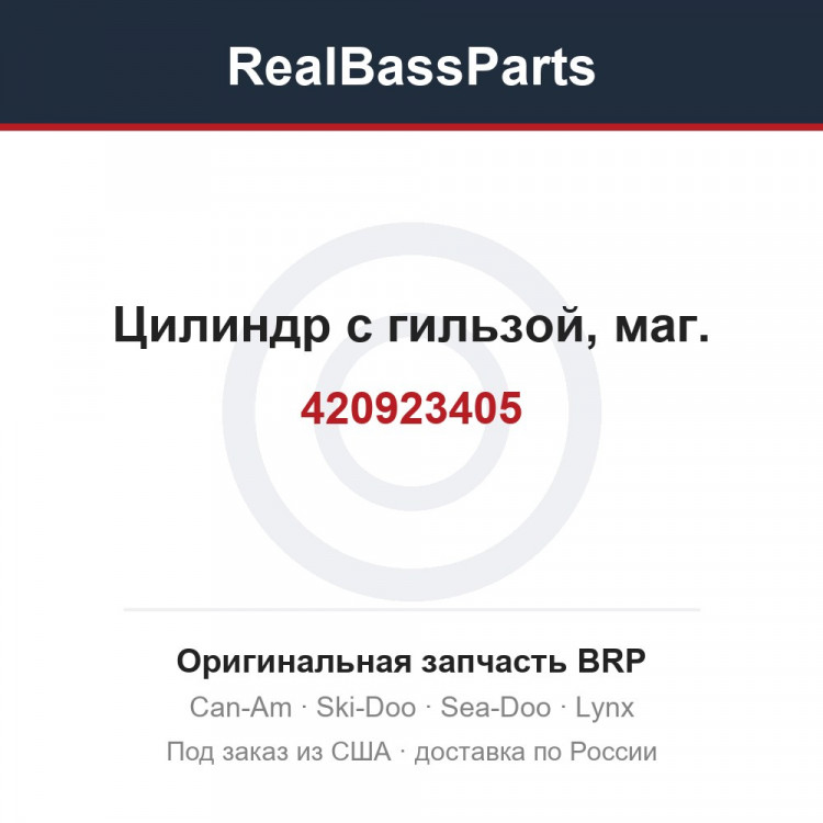 420923405 Цилиндр с гильзой, маг.