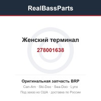 278001638 Женский терминал