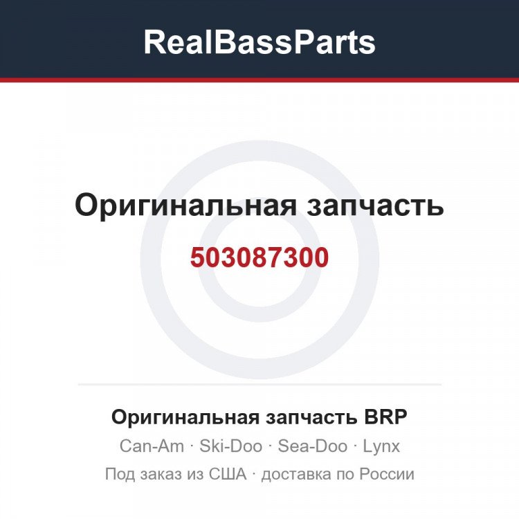 503087300