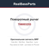 706003253 Поворотный рычаг