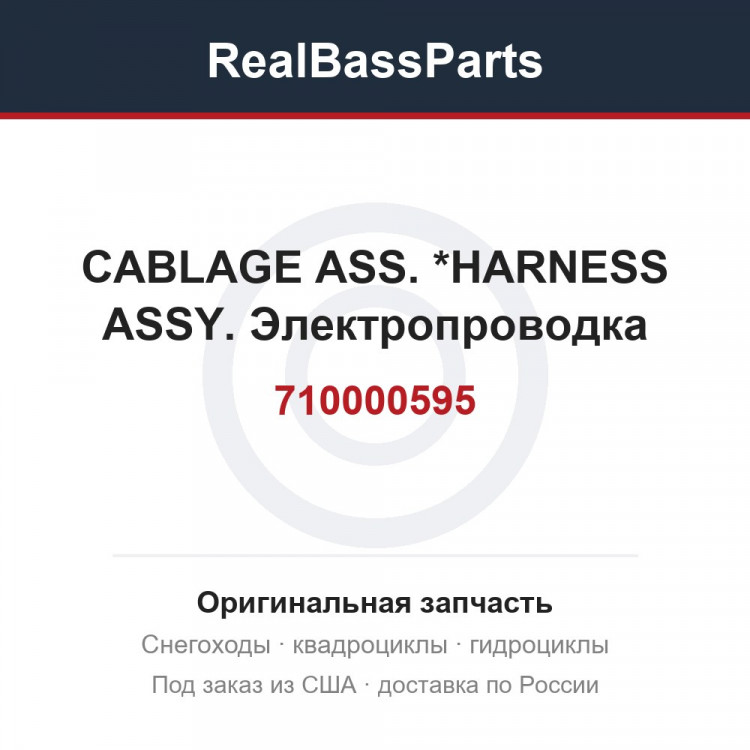710000595 CABLAGE ASS.   *HARNESS ASSY.  Электропроводка