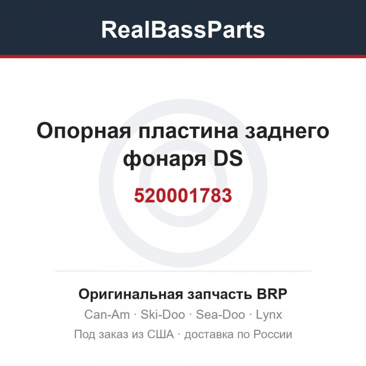 520001783 Опорная пластина заднего фонаря DS