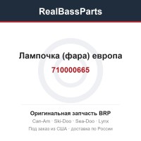 710000665 Лампочка (фара) европа