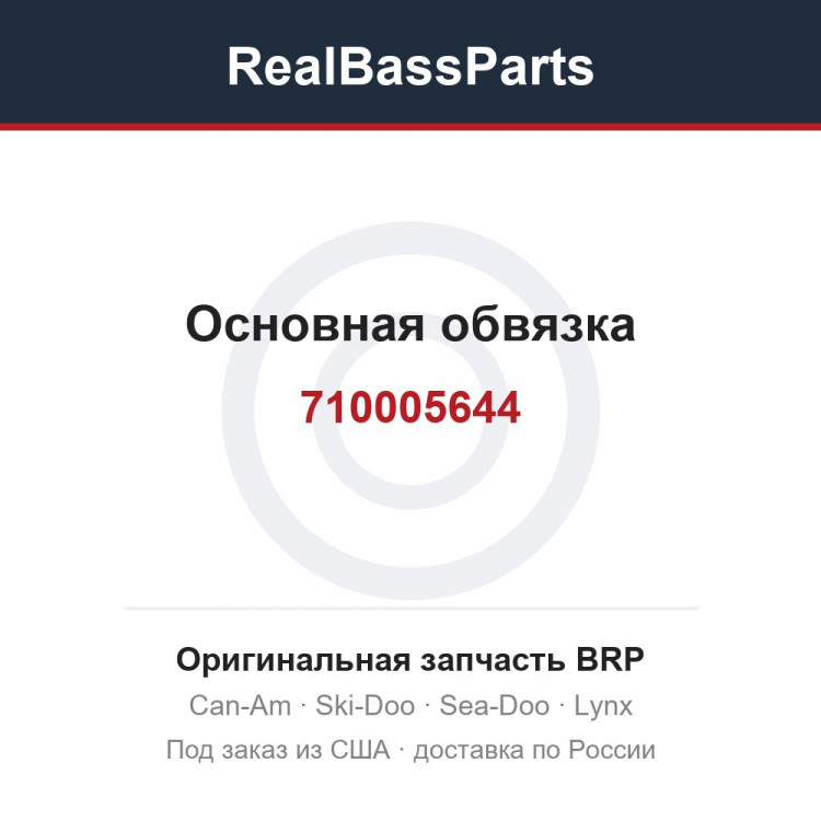 710005644 Основная обвязка